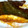 aki_4_4's cooksnap of when they made カレイの煮付け.