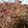 juju3's cooksnap of when they made プルコギ風牛肉炒め.