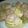 Swanwing's cooksnap of when they made しゅうまいの白菜巻き♪.