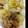かんな＞＜'s cooksnap of when they made 白菜と白ネギのぽかぽか炒め.