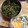 味魔女's cooksnap of when they made 大根の葉としらすｄｅ簡単ふりかけ～♪.