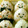 ココペリ0627's cooksnap of when they made デコ弁用☆栗おにぎりちゃん.