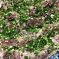 ダサコ's cooksnap of when they made かつおの塩タタキ♫.