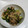 モグたんママ's cooksnap of when they made きゅうりとみょうがの浅漬け.