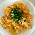 あったかクーラー's cooksnap of when they made 簡単！基本の親子丼.