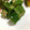 ☆笑くぼ☆'s cooksnap of when they made おくら 副菜 白だし&柚子胡椒風味.