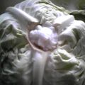 あみごっち's cooksnap of when they made キャベツの保存法♪.