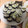 クック8MN5PR☆'s cooksnap of when they made さち子さんのシーチキン巻き♪.