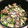 彪とら's cooksnap of when they made 豚肉とあさりの白ワイン蒸し.