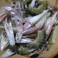 ぁぼかど's cooksnap of when they made ゴーヤとみょうがの簡単サラダ.