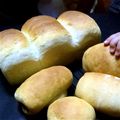 kiNaコ's cooksnap of when they made ふわふわ山形食パン.