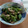 かりあん's cooksnap of when they made オクラとしめじの簡単煮物.