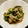 pozzzie's cooksnap of when they made 豚とちんげん菜の中華風炒め.