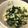 たろっぺ♪'s cooksnap of when they made ホウレン草とおからのおひたし.