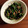 twママ's cooksnap of when they made *ほうれん草の挽肉炒め*.