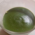 搾り汁's cooksnap of when they made からだにいいおやつ♡抹茶豆乳プリン.
