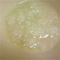 ユーロン's cooksnap of when they made ✿基本のお粥✿✿土鍋粥～美味しいお粥❤.