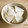 ななこ２２'s cooksnap of when they made たまらないうまさ、大根の酢の物.
