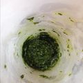 そよ風と葉っぱ's cooksnap of when they made 万能！ジェノベーゼソース.