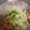 ぶかちゃん's cooksnap of when they made たまごと枝豆の彩サラダ.