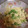 ぶかちゃん's cooksnap of when they made たまごと枝豆の彩サラダ.