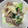 きたゆー's cooksnap of when they made 豚とちんげん菜の中華風炒め.