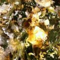 みやのりょうり's cooksnap of when they made 簡単☆三つ葉と卵のお吸い物.