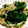 sakitchen♡'s cooksnap of when they made 簡単♪ほうれん草とえのきのごま和え.