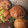 ソフィ♥︎'s cooksnap of when they made ✿いわしの揚げ焼きおろしつみれ✿.