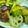 や～たん食堂's cooksnap of when they made 秋野菜と鶏肉の甘辛炒め♥.