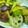 や～たん食堂's cooksnap of when they made 秋野菜と鶏肉の甘辛炒め♥.
