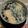 バンザイ's cooksnap of when they made レンジで超簡単茶碗蒸し.
