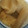 あんずはな's cooksnap of when they made 大根と厚揚げの煮物.