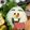のんたけママです's cooksnap of when they made キャラ弁　オラフ　アナと雪の女王.