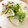 ポヴナ's cooksnap of when they made 超簡単☆大根のお漬物.
