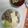 みゃん太's cooksnap of when they made #肉豆腐#.