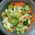 チビ太のおでん's cooksnap of when they made 野菜の浅漬け.