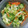 チビ太のおでん's cooksnap of when they made 野菜の浅漬け.