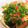 うめうめうめっこ's cooksnap of when they made 長いもと油揚げと紅しょうが♪和風サラダ.