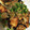 mezuchin's cooksnap of when they made ぶりの揚げびたし.