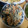 ともぱんたから's cooksnap of when they made 柿とひじきの白和え♪.