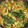 M3doors111's cooksnap of when they made ☆簡単☆たっぷり野菜と油揚げの煮浸し.
