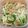 shelly616's cooksnap of when they made 水菜、えのき、ベーコンのバターソテー.