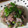 こじあゆ's cooksnap of when they made あじのなめろう風たたき.