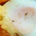 ちーきよ's cooksnap of when they made ✿簡単 ５分でココットとろり半熟卵✿.