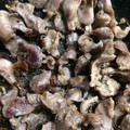 まいてぃkak's cooksnap of when they made 簡単おつまみ☆砂肝のにんにく炒め☆.