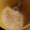 ほねほねになりたい's cooksnap of when they made ＊喉風邪に効く　林檎＆生姜のすりおろし＊.
