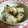 チーム預金's cooksnap of when they made わかめとコーンの炊き込みご飯♪.