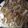 kanoa5's cooksnap of when they made 離乳食大根deみぞれうどん咳き込むとき.