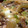 あけぐり's cooksnap of when they made さんま蒲焼缶詰の卵とじ☆彡.